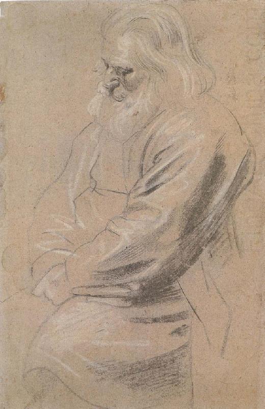 Sitting  old man, Peter Paul Rubens